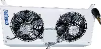 Belluna P205